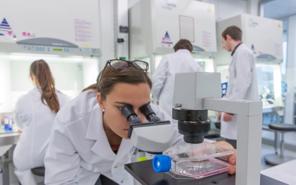  Giovani ricercatrici e ricercatori al lavoro in un laboratorio.