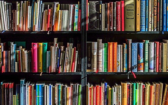 Une étagère remplie de livres.
