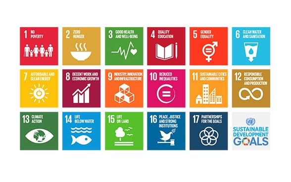 Illustration of the 17 goals of the 2030 Agenda for Sustainable Development.