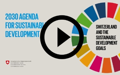 Symbolic Image leading to video about sustainable goals.