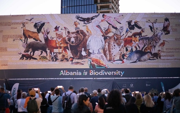 Mural depicting Albania's endangered species unveiled in Tirana's main square, 02.10.2023