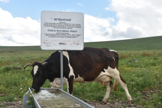 "Livestock Development in the South of Armenia" Project