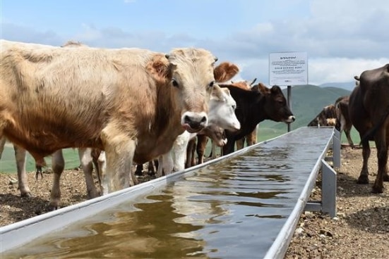 Stock watering point, Sarapat, Shirak marz, Armenia