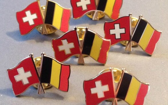 Photo des pins Suisse-Belgique