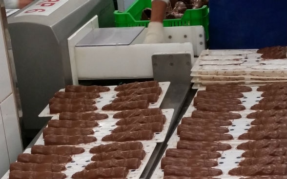 Chocolate Santa Clauses in Diósgyőr waiting to be wrapped. © by Embassy of Switzerland