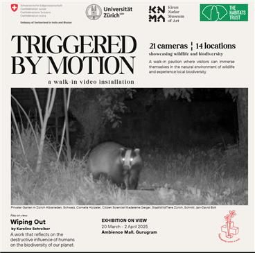 Triggered by Motion and Wiping Out exhibition 