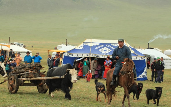 Mongolian Yak Festival 