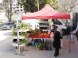 Meilleur accès aux marchés pour les petits producteurs (hommes et femmes) de fruits et légumes frais (FFV), territoire palestinien occupé