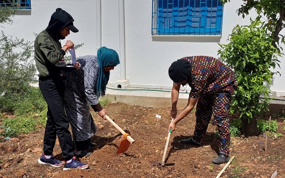 Le jardinage comme outil d’accompagnement thérapeutique