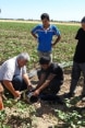 WRMSP - with farmers in the field