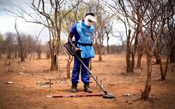 Switzerland and APOPO launches a US$1 million mine clearance project in Southern Zimbabwe for the safe return of land to the local communities.