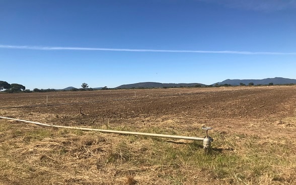 Switzerland and FAO hands over 14 rehabilitated irrigation schemes to smallholder farmers in Zimbabwe.