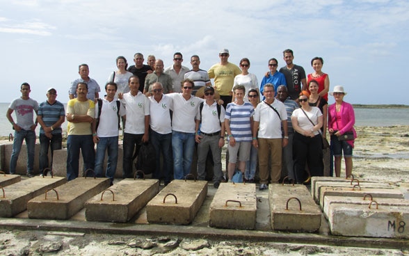 Karen Scrivener stands with Cuban research partners and Latin American cement producers in front of cement blocks at a shoreside in Cuba. 