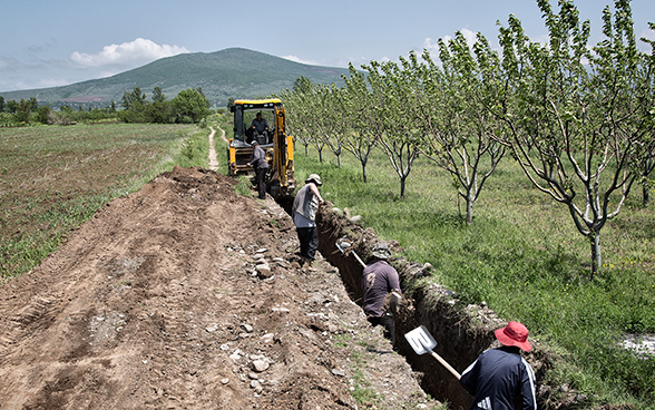 Männer schaufeln auf einer Landwirtschaftsparzelle Erde aus einem mit einem Bagger ausgehobenen Graben. 