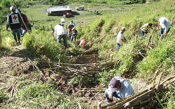 Around 10 villagers building water-retention walls out of bamboo in a sloping field.