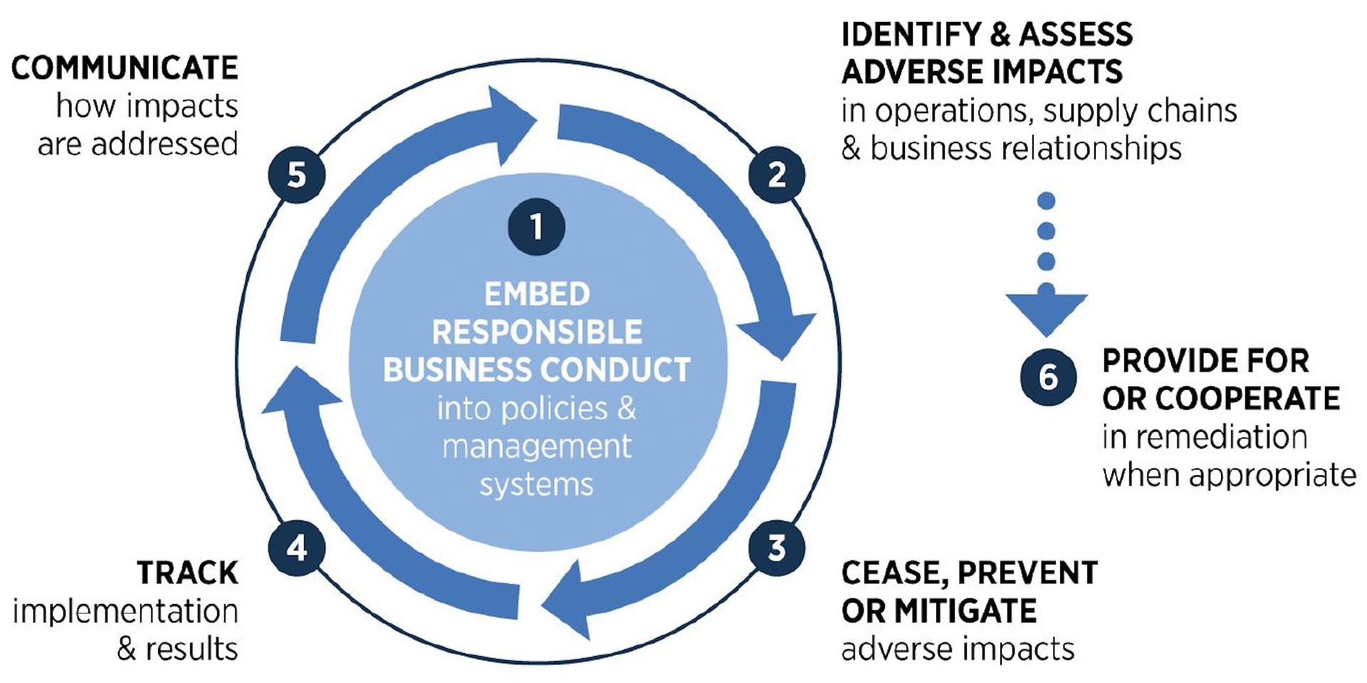 A pie chart shows the six steps companies must take to be responsible.
