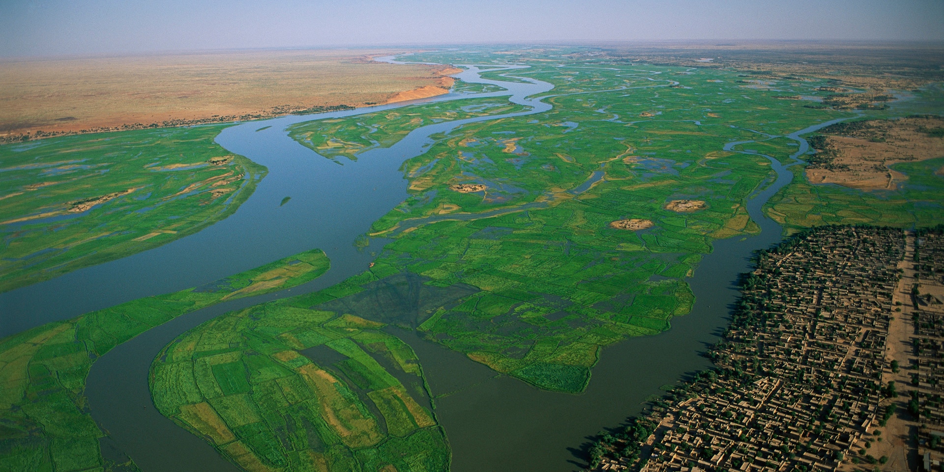  Rice fields in the Niger River in Mali.