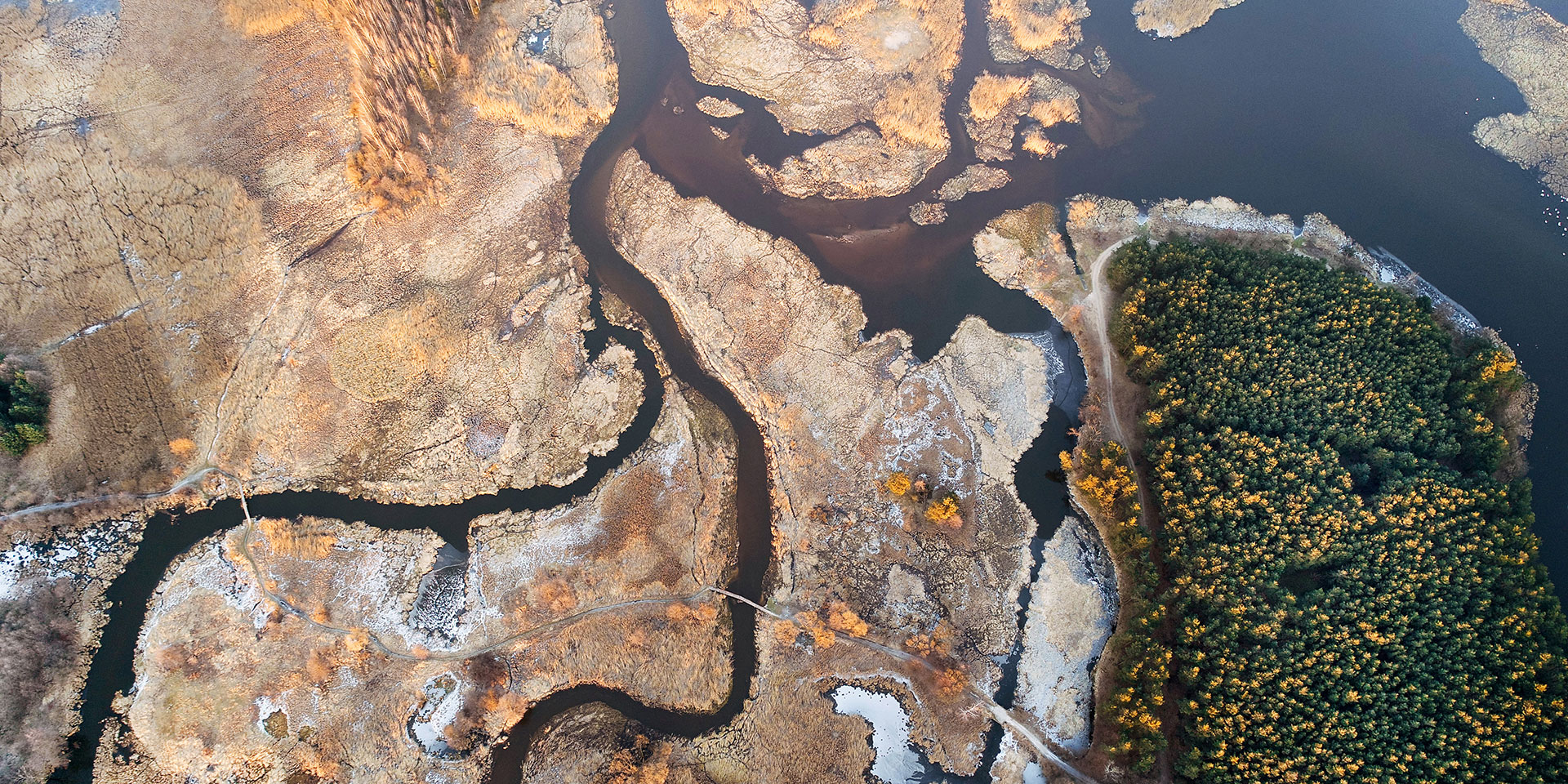 Birdview of a river and its different branches.