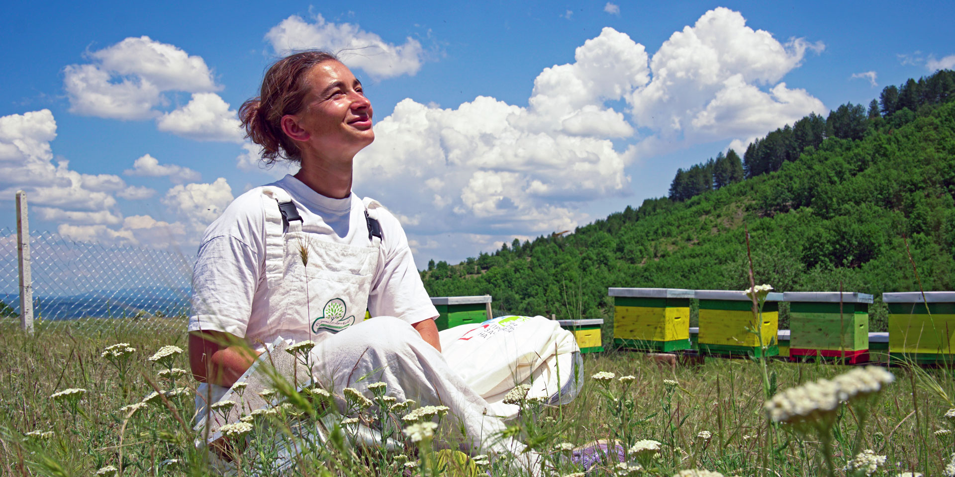 A woman, member of the Honey East Association, is sitting in the grass in front of beehives.