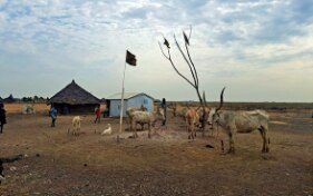 Fragility: between challenges and perspectives. A closer look at three countries