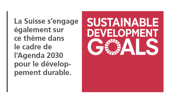 Sustainable Development goals Agenda 2030