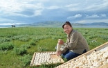 Eine mongolische Frau bereitet einzelne Aaruul-Stücke zu.