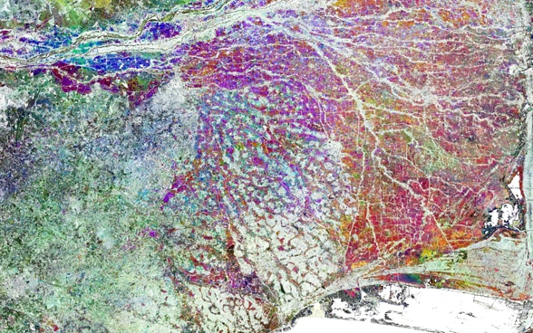 Satellite image of a rice-growing area with colour indicators used to estimate yields. 