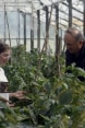 L’image montre Medea et son professeur qui discutent des légumes dans la serre du collège de Senaki.