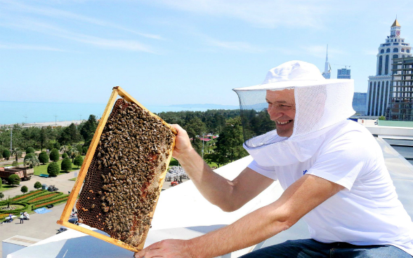 Un homme portant un chapeau d’apiculteur tient un cadre recouvert d'abeilles sur le toit d’un building.