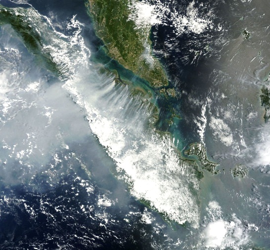 Immagine satellitare in cui sono visibili pennacchi di fumo dovuti a incendi boschivi a Sumatra.