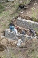 Pour limiter les risques de glissements de terrain, des habitants de la vallée de Chail érigent des murs de pierre sèche sur des talus.