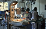 Medizinisches Personal versorgt Säuglinge in einer Neugeborenenabteilung in Litauen