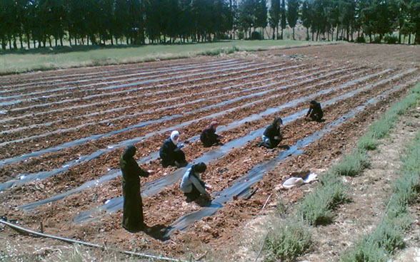 Alcune donne al lavoro in un campo-scuola.