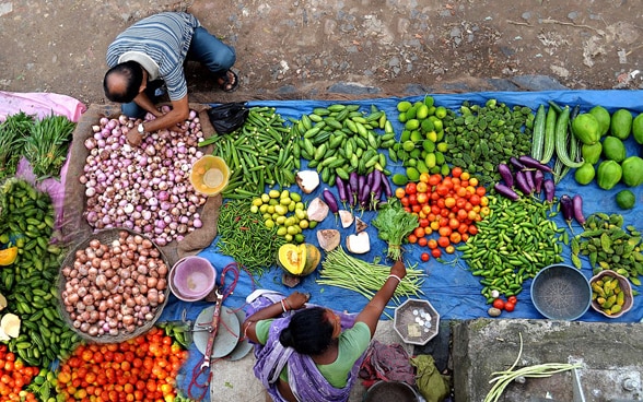 Market with a big variety of vegetables.