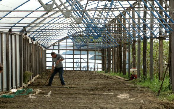 The photo shows Medea’s father turning over soil in the family greenhouse, which was expanded recently.