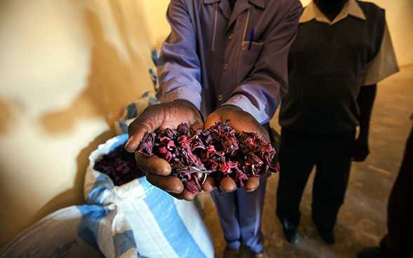 A man with his arms outstretched towards the camera holding a handful of hibiscus flowers. 