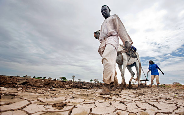 Dos campesinos aran un terreno seco en Darfur (Sudán). 