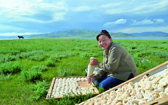 A Mongolian woman preparing individual pieces of Aaruul.