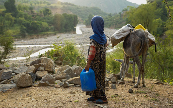 The picture shows a girl with a donkey looking into a riverbed.