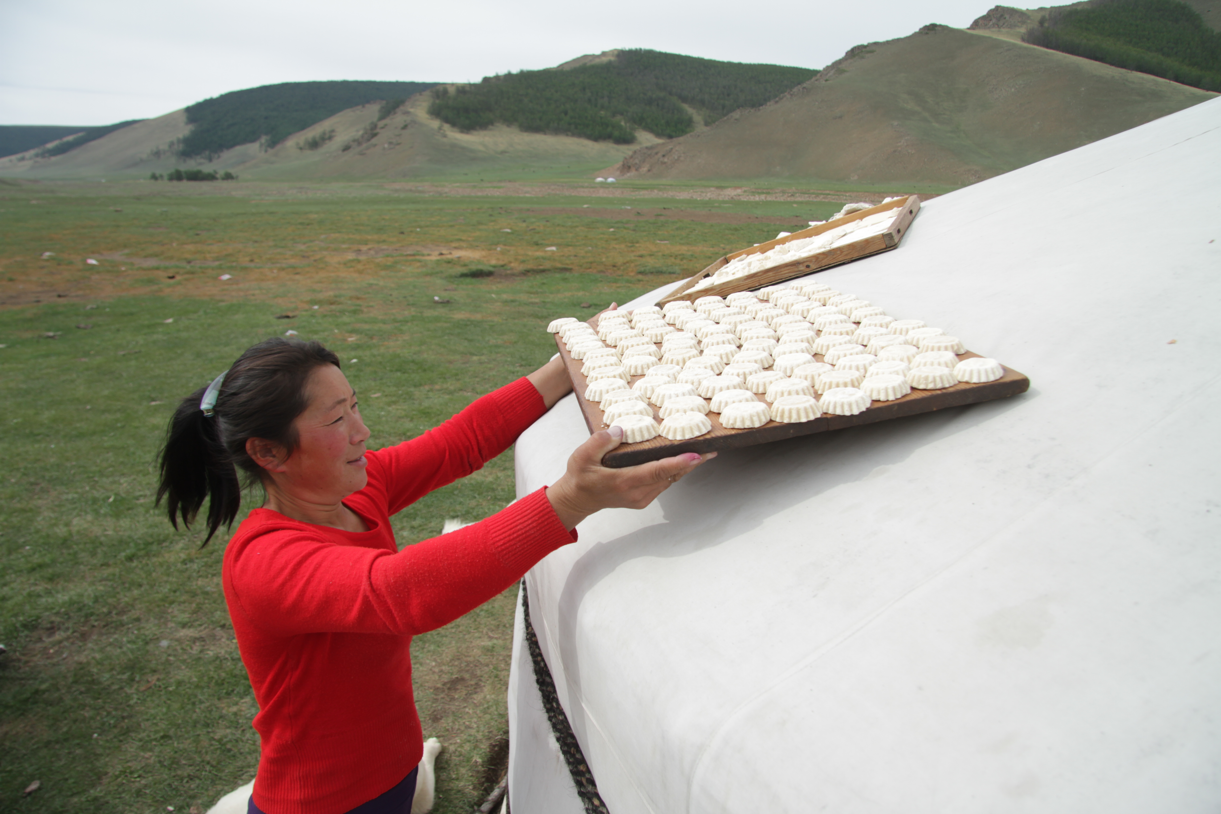 Femme posant un plateau de fromages sur le toit de sa yourte.