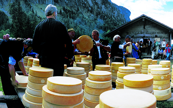 Piles de meules de fromage.