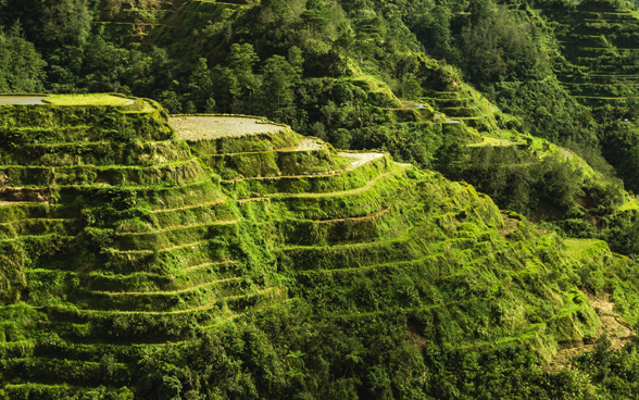 La foto mostra i terrazzamenti di riso situati nelle Filippine