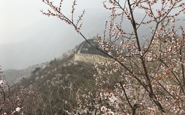 The Great Wall of China