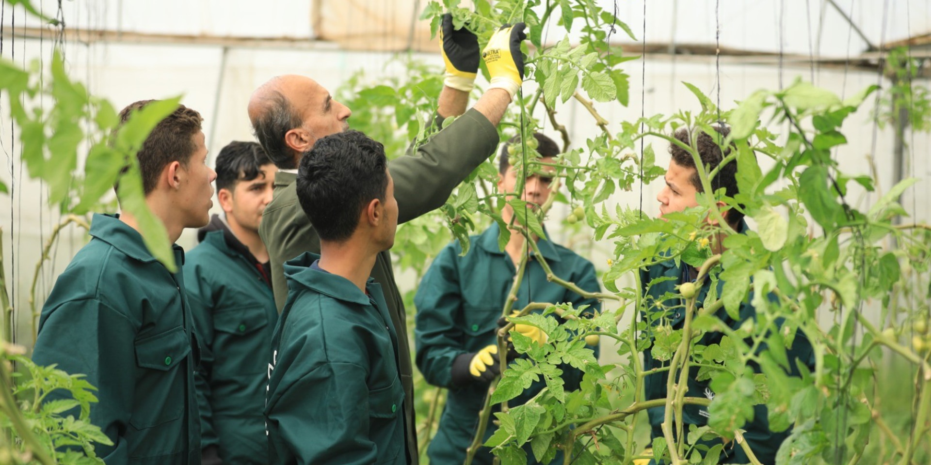 n una scuola di agraria, un insegnante descrive le caratteristiche di una pianta a dei giovani. 