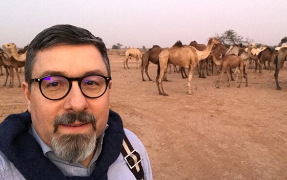  A man's face in the foreground, with a herd of dromedaries in the background.