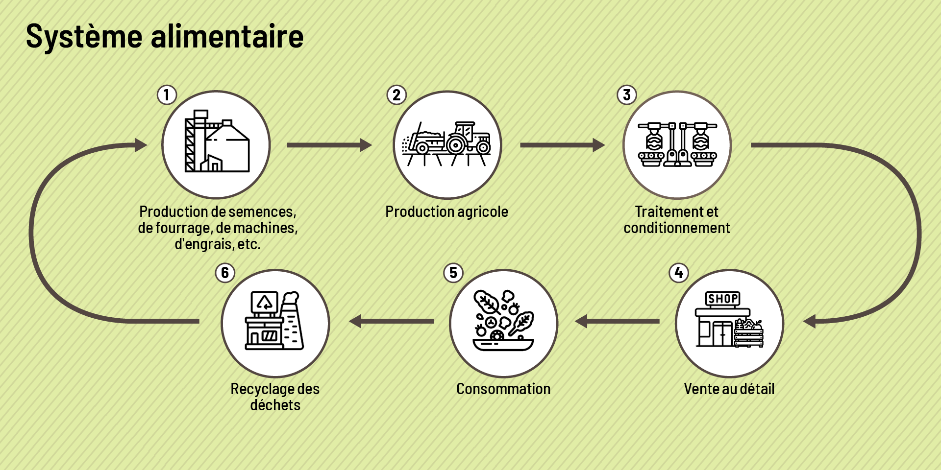 Graphique illustrant la séquence d’un système alimentaire, de la production de semences et de fourrage à la production agricole, en passant par la transformation et le conditionnement, la vente au détail, la consommation et le recyclage des déchets.