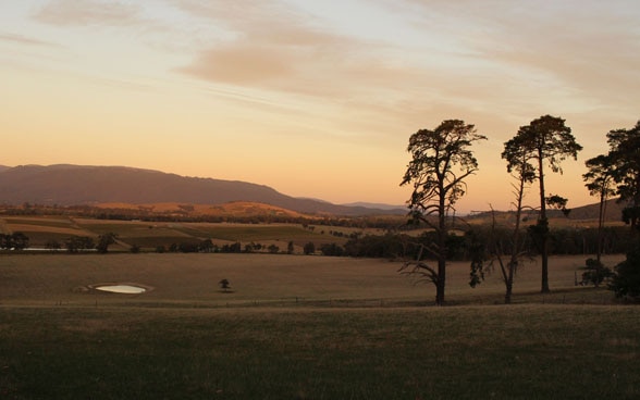 Tra le dolci colline della Yarra Valley si trova il vigneto Yeringberg, coltivato dalla famiglia De Pury, che produce vini di pregio da quattro generazioni. 