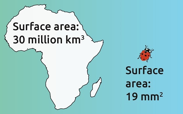 Illustration illustrating the relationship between 15 quintillion USD and 96 trillion USD.