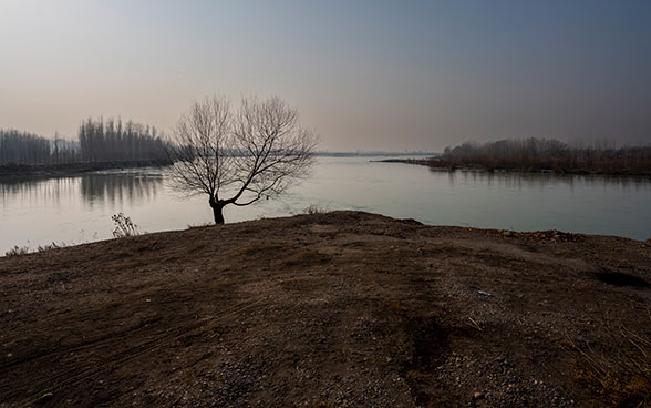 Landschaft mit einer Wasserfläche und einem trockenen Baum im Vordergrund.