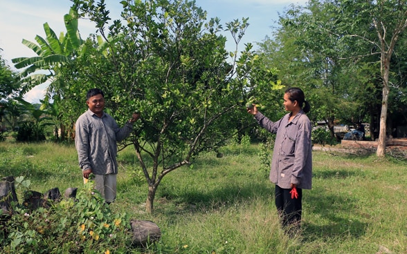 A woman and a man standing next to an orange tree.